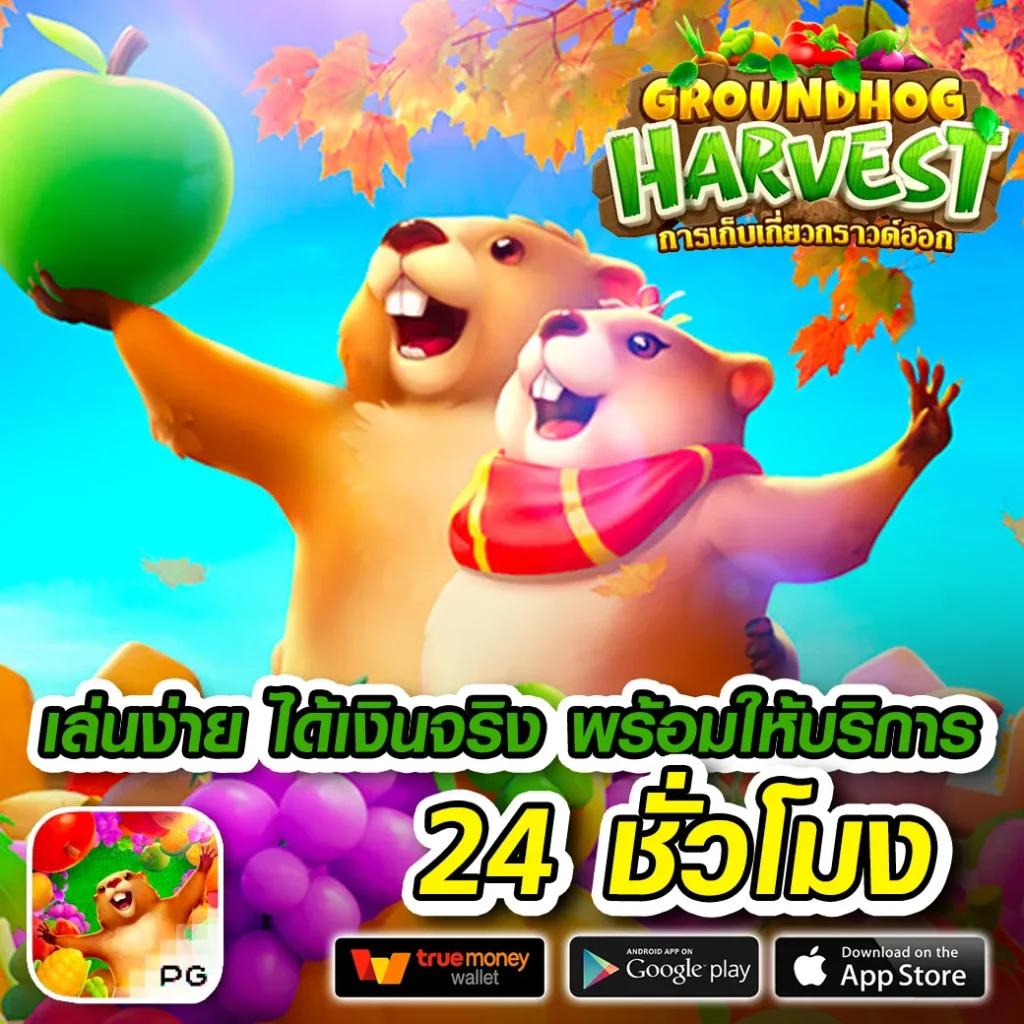 betflik5k คาสิโนออนไลน์ รวมเกมสล็อตใหม่ล่าสุดและโปรแรงอันดับ1